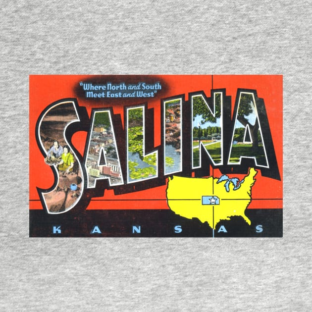 Greetings from Salina, Kansas - Vintage Large Letter Postcard by Naves